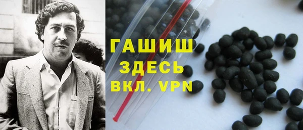 стаф Осинники