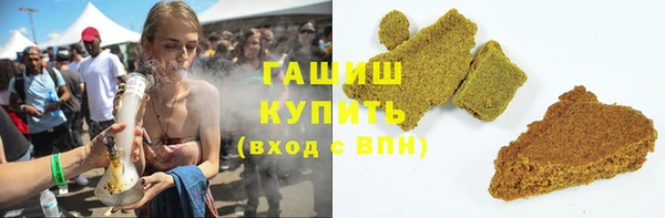 стаф Осинники