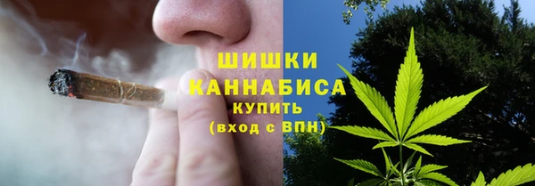 стаф Осинники