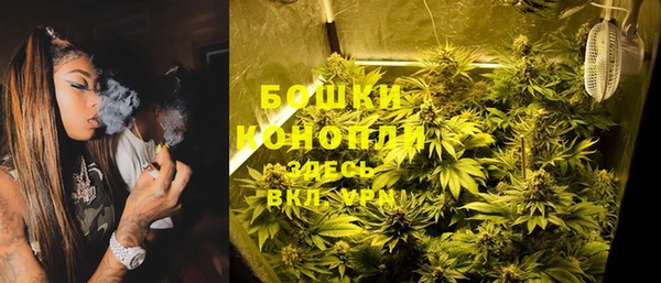 стаф Осинники