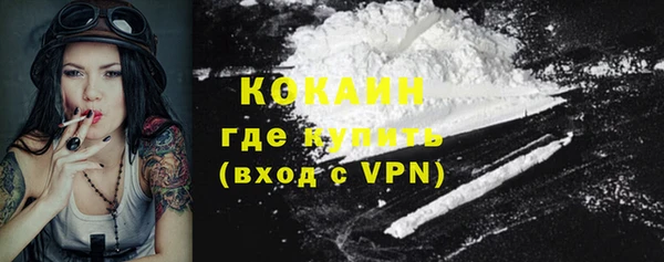 стаф Осинники